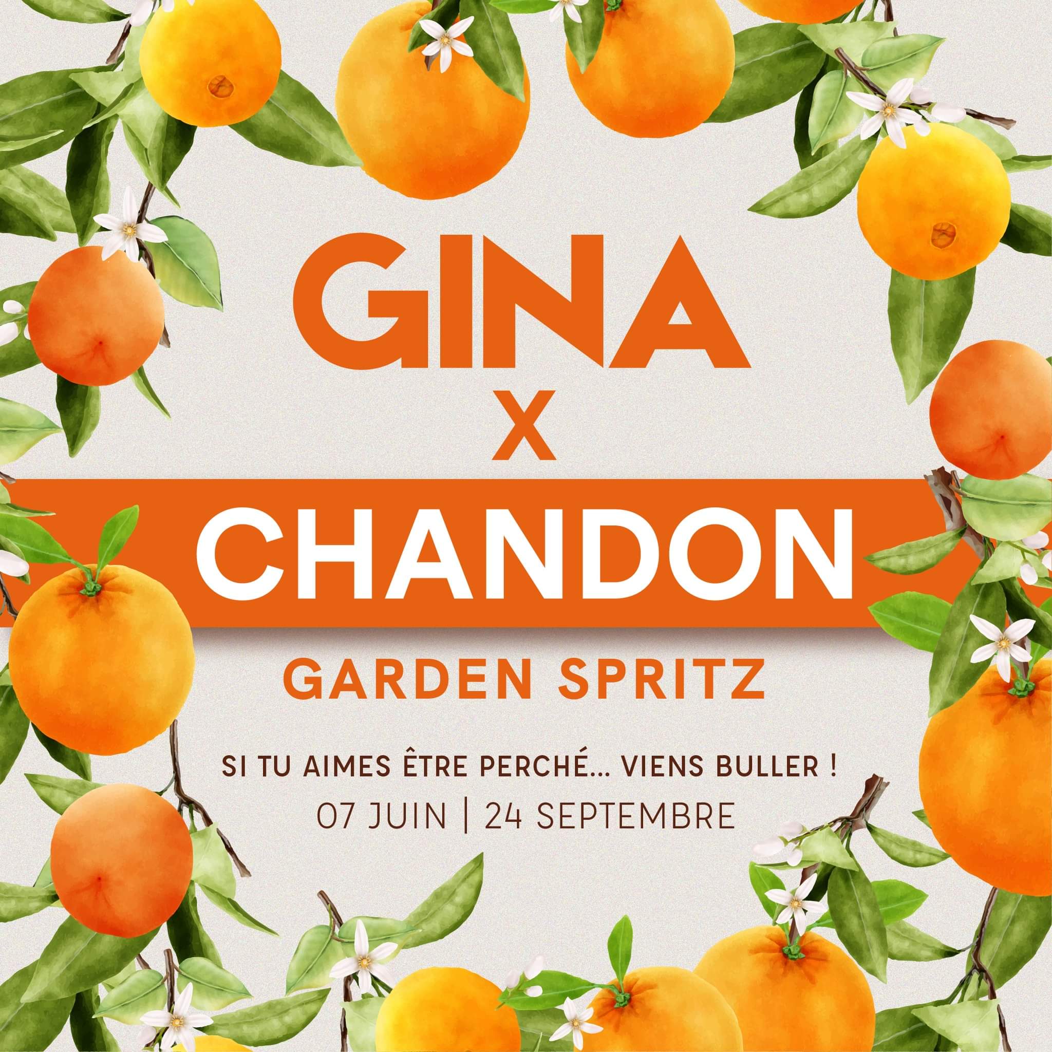 Gina x Chandon Garden Spritz