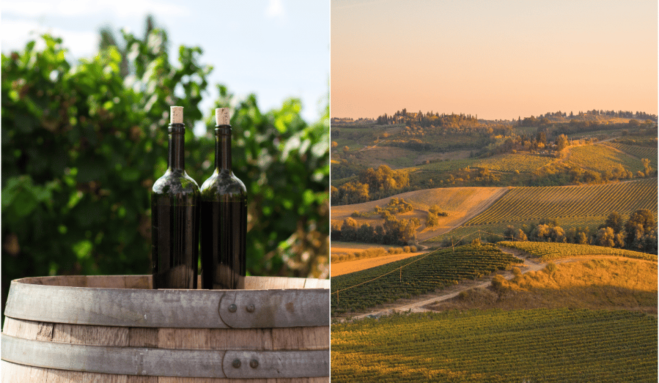 Cet été, le Château Thieuley vous propose des soirées dans les vignes tous les jeudis près de Bordeaux !