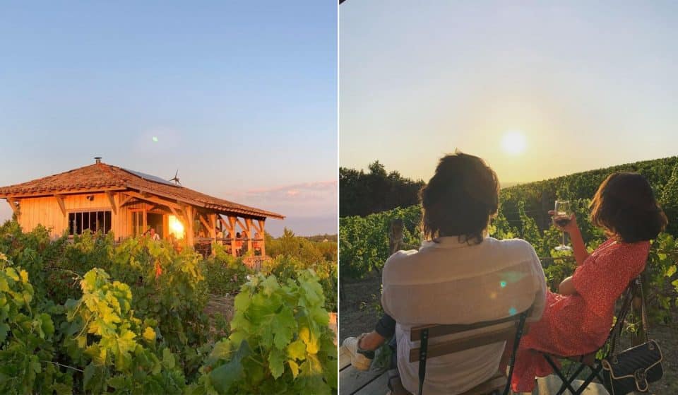 La Cabane dans les vignes : un bar à vin au cœur des vignes à quelques minutes de Bordeaux